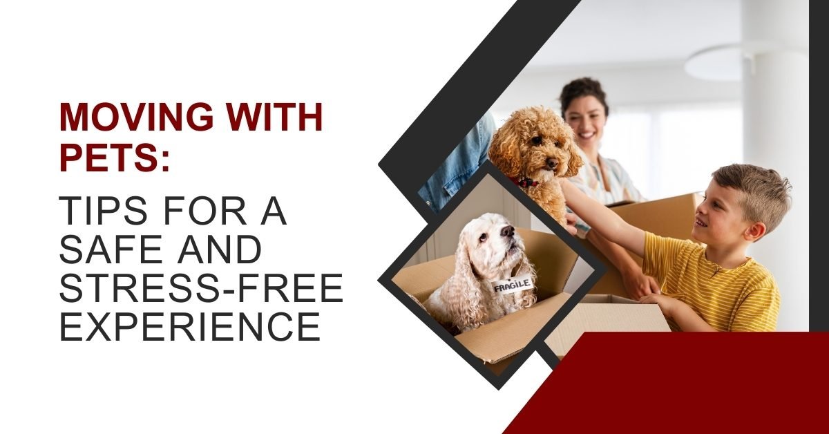 Moving With Pets Tips for a Safe and Stress-Free Experience
